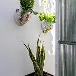 L'angolo Floreale House- * Katánie